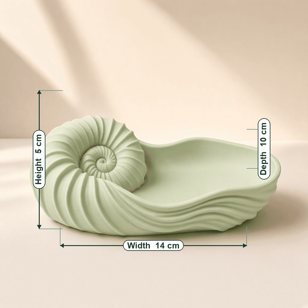 Seashell Nautilus Jewelry Dish thumbnail 5
