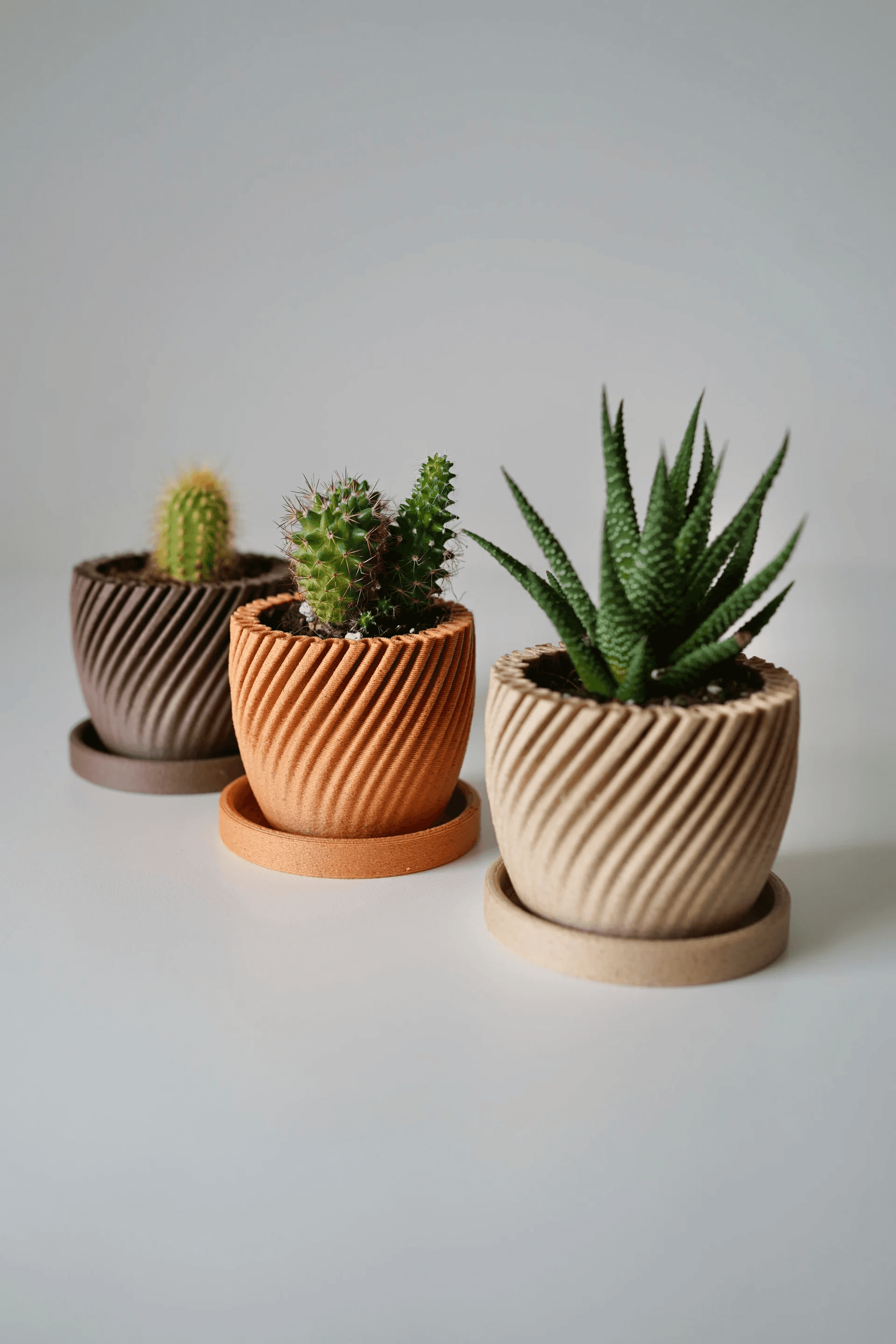 Wall Bloom Hanging Planter thumbnail 2