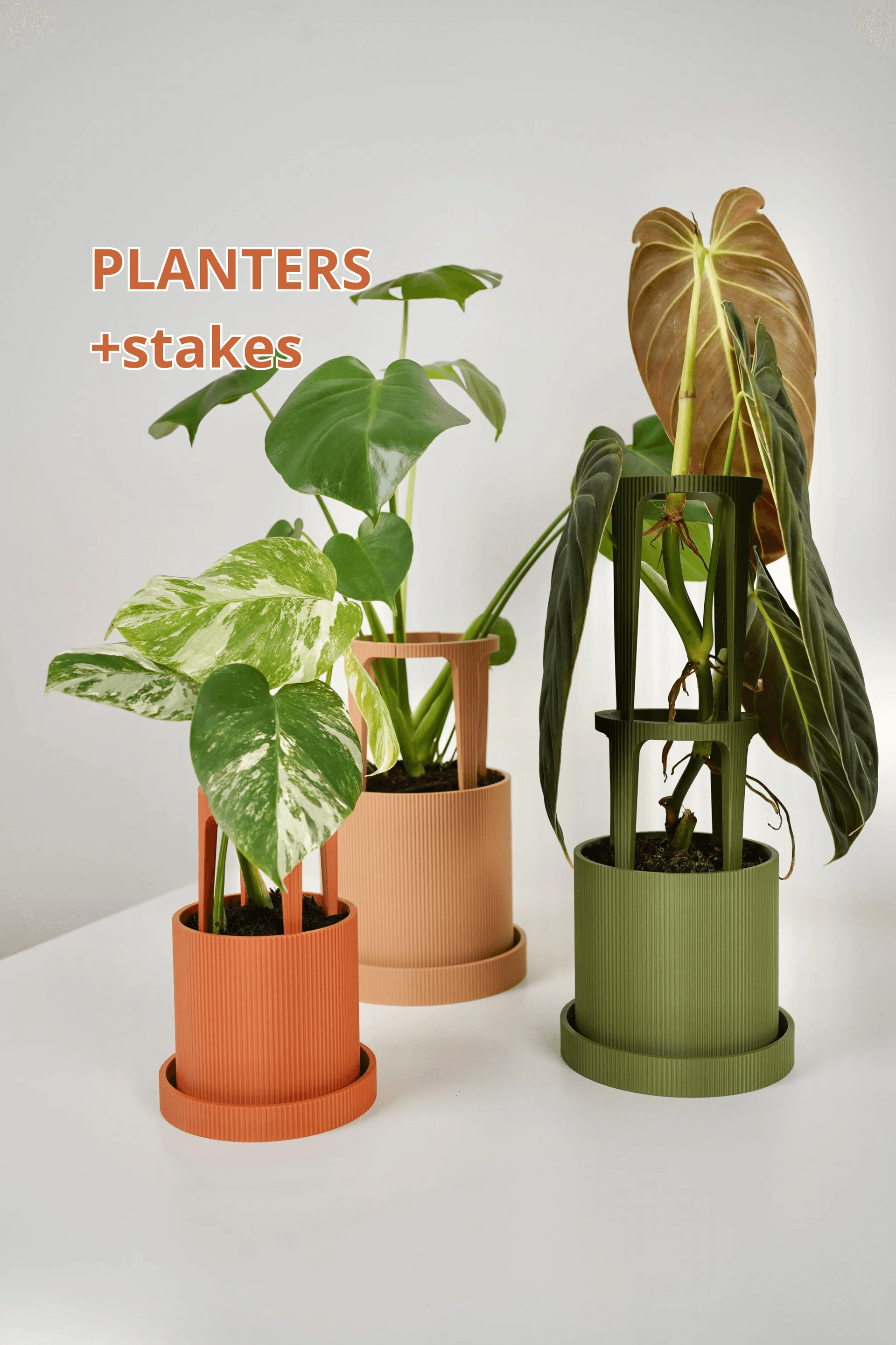 Buy Urban Pocket Pot Set - 3D printed planters online India