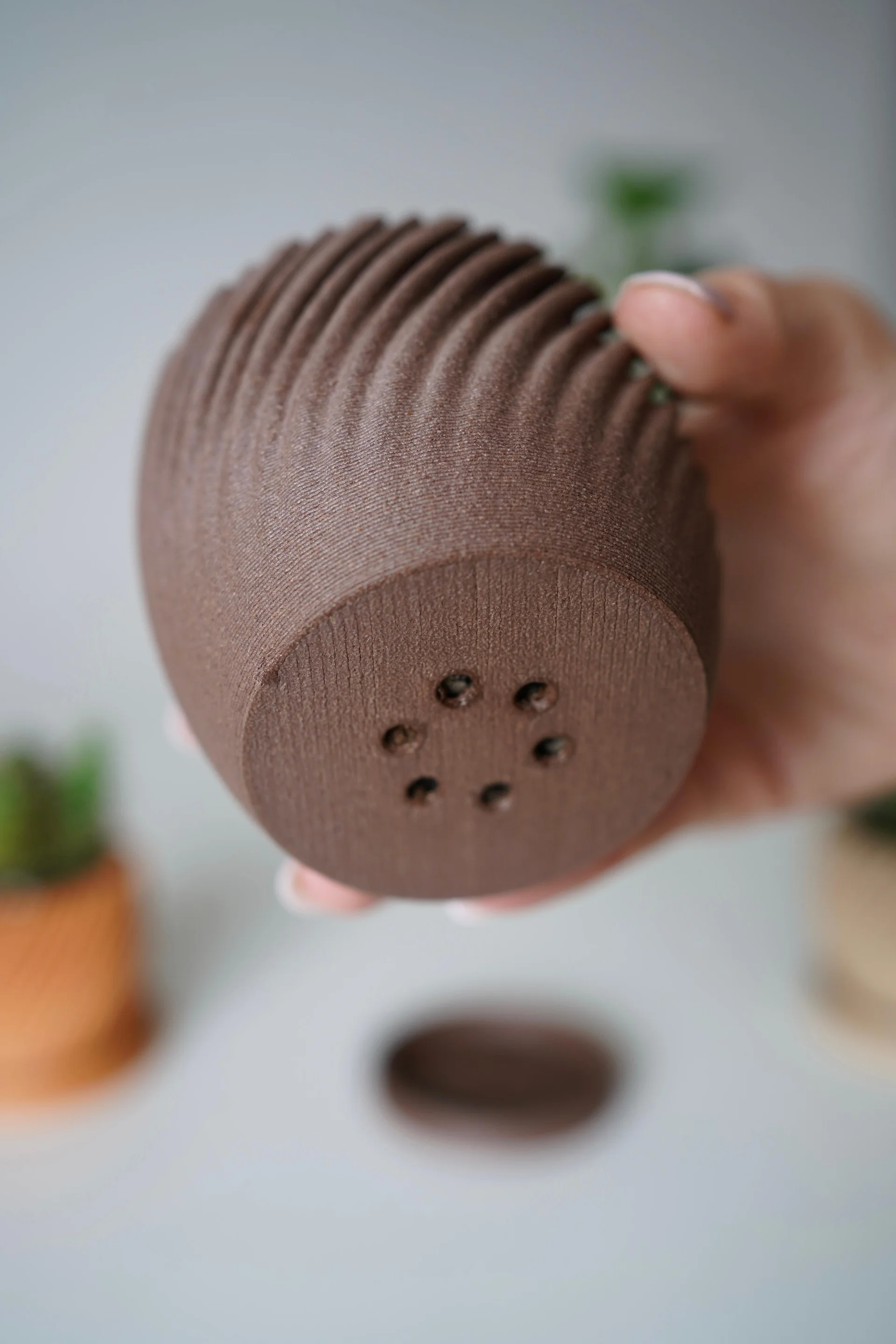 CACTIA Cactus Planter